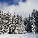 Naturhotel Alpenblick 4*