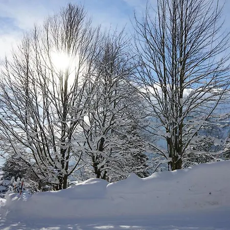 Hotel Naturhotel Alpenblick Maurach (Achensee)