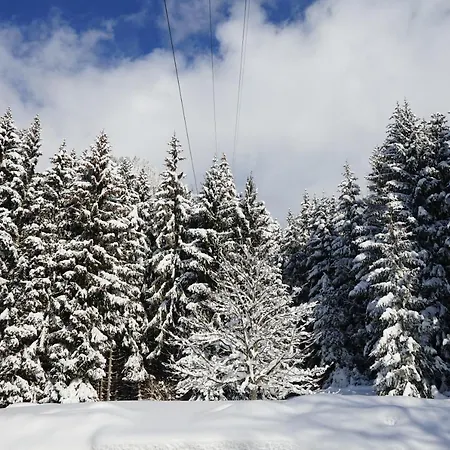 Naturhotel Alpenblick 4*
