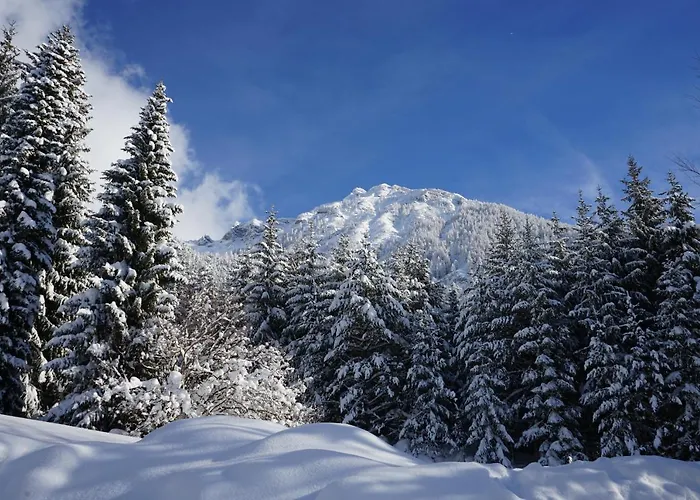 ホテル Naturhotel Alpenblick